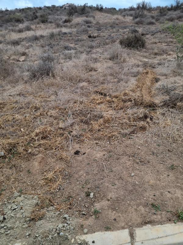 0 Bedroom Property for Sale in Saldanha Rural Western Cape